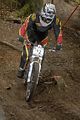 595__DSC0037 (3)